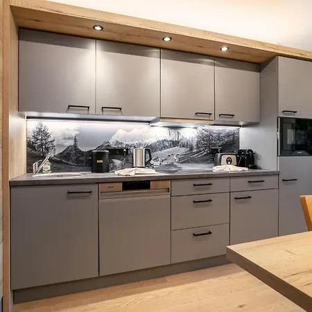 Apart33 2-11 Haus im Ennstal